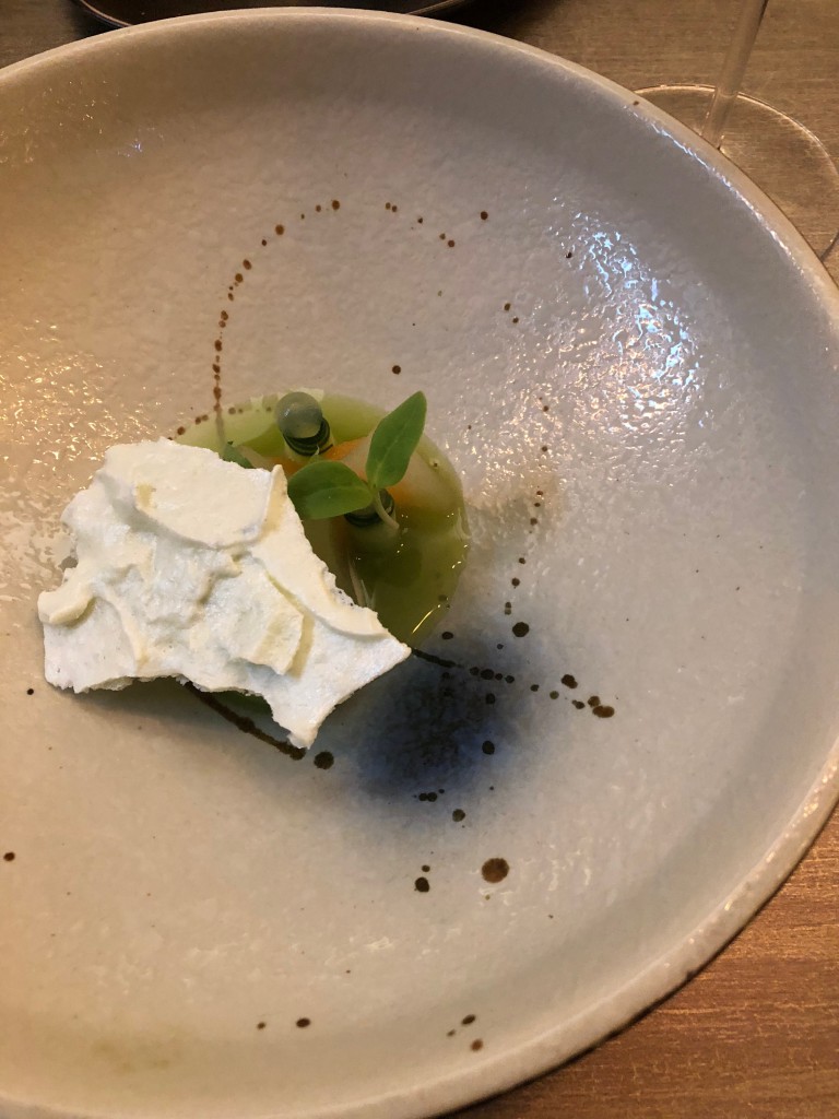 Sorbet Landgurke